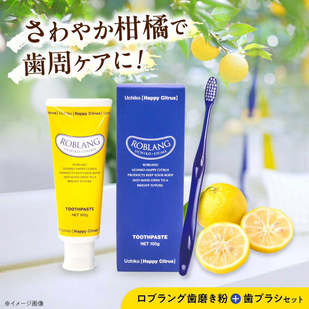 【ふるさと納税】ロブラング歯磨き粉1個+歯ブラシ1本セット ／ デンタルケア オーラルケア 口腔ケア 口腔衛生ケア プレゼント ギフト 日用品 内子町【昭和刷子株式会社】[BKAZ005]