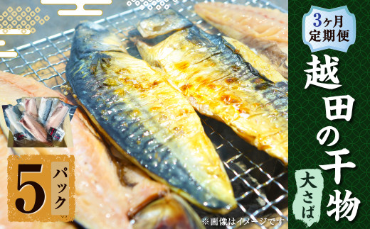 【3ヶ月定期便】 越田の干物 大さば（1枚入）×5パック 合計15パック 干物 鯖 さば 魚 お魚 さかな さば サバ