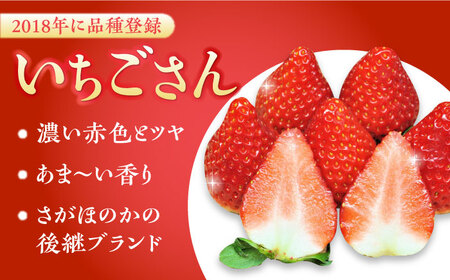 【全4回定期便】いちごさん・パールホワイト / いちご いちご いちご いちご いちご いちご いちご / 佐賀県 / かわさきいちご [41ASBJ005]
