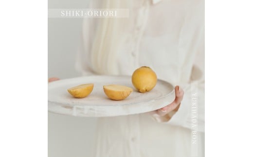 紀州漆器 SHIKI-ORIORI しきおりおり ゆきはだ BON 盆 お盆 トレイ