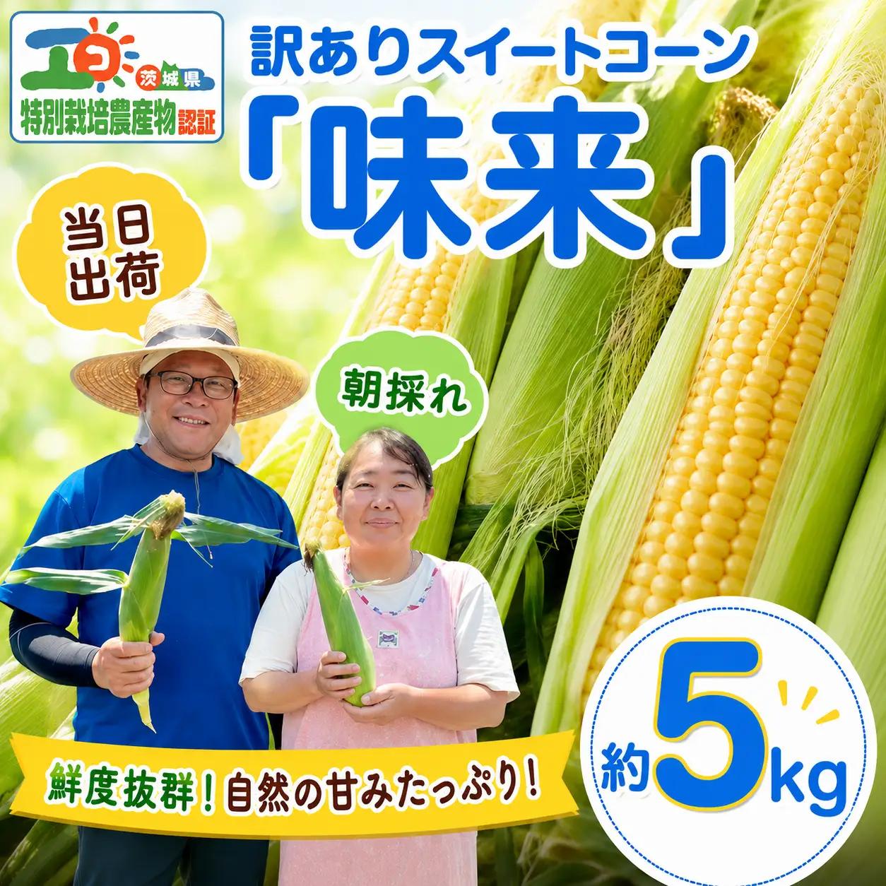 【 朝採れ 当日出荷 】 訳あり スイートコーン 「 味来 」 約5kg 特別栽培農産物 特別栽培 甘い 新鮮 皮付き トウモロコシ とうもろこし コーン 野菜