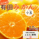 【ふるさと納税】【限定】 【2024年 先行予約】和歌山県産 有田みかん 小玉 10kg 訳あり