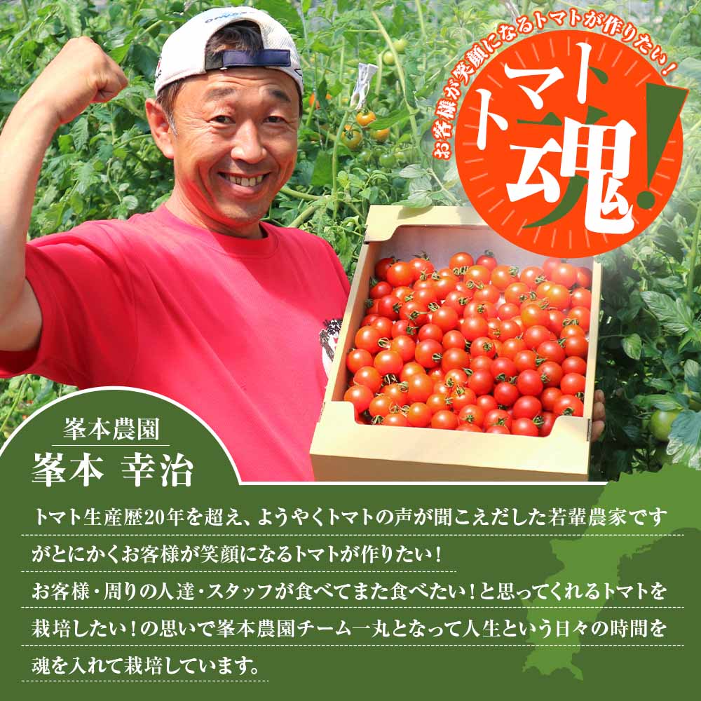 トマト魂！峯本の贅沢フルティカトマト（中玉サイズ）4kg 4キロ  ミディトマト フルーツトマト トマト ふるさと納税 フルティカ とまと サラダ 野菜 美味しい 甘い【R01033】