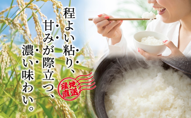 ゆめぴりか 10kg 令和6年産 北海道米 芦別米 精米 白米 お米 コメ こめ ごはん ご飯 炊き立て おいしい お取り寄せ 産地直送 送料無料 農家直送 ファームなかむら 貞子の家 北海道 202