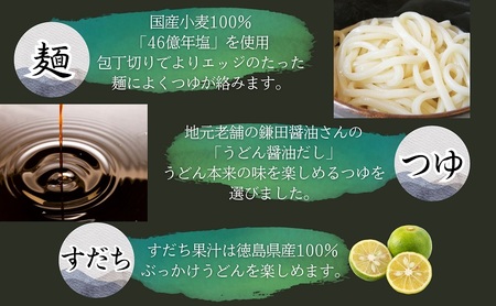 包丁切り生讃岐うどん お取り寄せセット 【6月～8月配送】