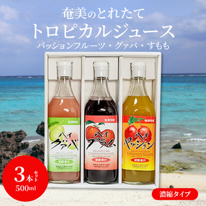 【ギフトにどうぞ】奄美のとれたてジュース アソート3本セット（パッション・グァバ・すもも） A015-010 飲み比べ パッションフルーツ グァバ プラム トロピカルフルーツ 果物 希釈 濃縮タイプ 