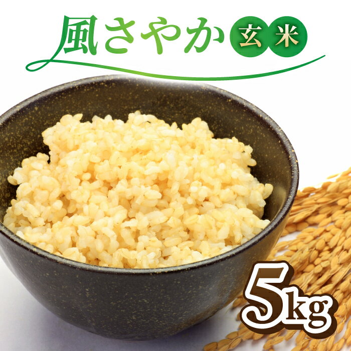 【ふるさと納税】【新米予約】令和8年産 長野県オリジナル品種「風さやか」玄米5kg　※2026年10月上旬以降順次発送