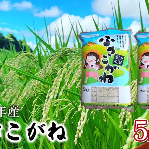 【令和8年産】ふさこがね    白米10kg（5kg×2）【お米こめコメおこめ】千葉県
