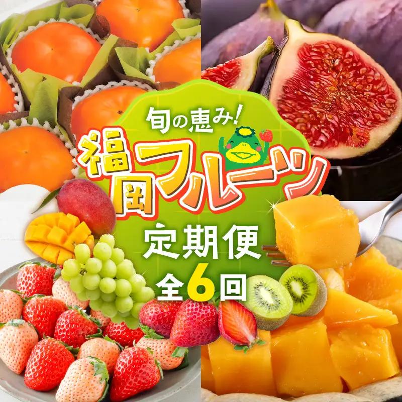 【定期便 6回】旬の恵み！福岡フルーツ定期便 _ 定期便 6回 フルーツ 完熟 マンゴー シャインマスカット 黒イチジク ビオレソリエス キウイ 甘うぃ 柿 福岡県GAP 秋王 あまおう いちご グルメ 旬 お取り寄せ 福岡県 久留米市 送料無料  〔Tk127〕
