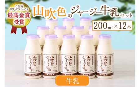 山吹色のジャージー牛乳セット 山吹色のジャージー牛乳 200ml 12本 ジャージー牛乳 牛乳 セット 乳製品 飲料 健康 腸活 免疫力アップ 乳酸菌 ご当地牛乳グランプリ 最高金賞 ご当地 ギフト 贈答用 山のいぶき 熊本 阿蘇 南小国町 送料無料 [B2-1113]