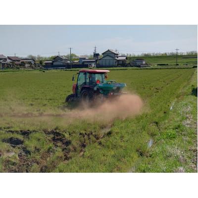 ふるさと納税 養老町 令和7年岐阜県養老産ケリ米ハツシモ　白米5kg |  | 01