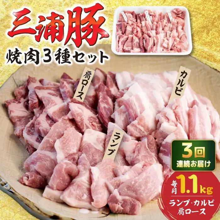 【3回定期便】 豪華 三浦豚 1.1kg 焼肉セット 肩ロース カルビ ランプ / 恵那市 / あづま精肉店 [AUDL018]