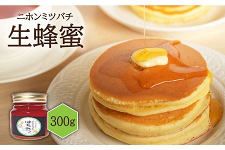 ニホンミツバチ 生蜂蜜 300g[JCL002] はちみつ ハチミツ