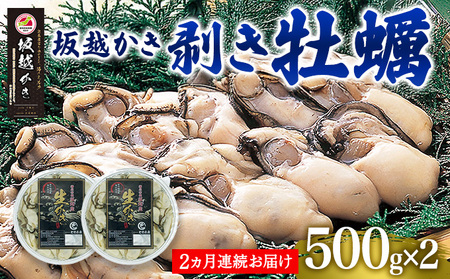 【2回定期便】 牡蠣 坂越かき 剥き牡蠣 約500g×2パック 合計：約2kg カキ 牡蠣 かき 海の幸 魚介 貝【2026年2月上旬～3月下旬発送予定】