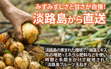 新玉ねぎ 4kg 淡路島 不揃い / フルーツ玉ねぎ