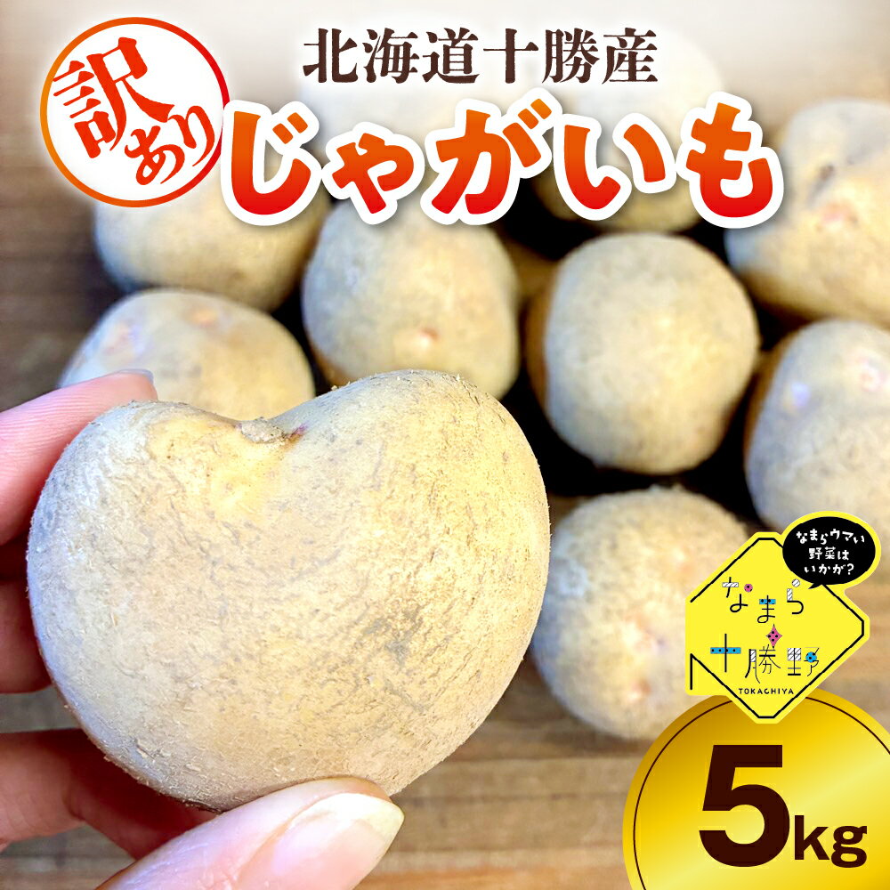 【ふるさと納税】 【訳あり】 農家応援 じゃがいも 5kg ( 選べる 品種 : キタアカリ / メークイン / 北海こがね )【10月上旬～1月下旬頃配送】 / 芋 おいも ジャガイモ 肉じゃが シチュー カレー ポテトサラダ 煮込み料理 炒め物 産地直送 北海道 十勝 芽室町