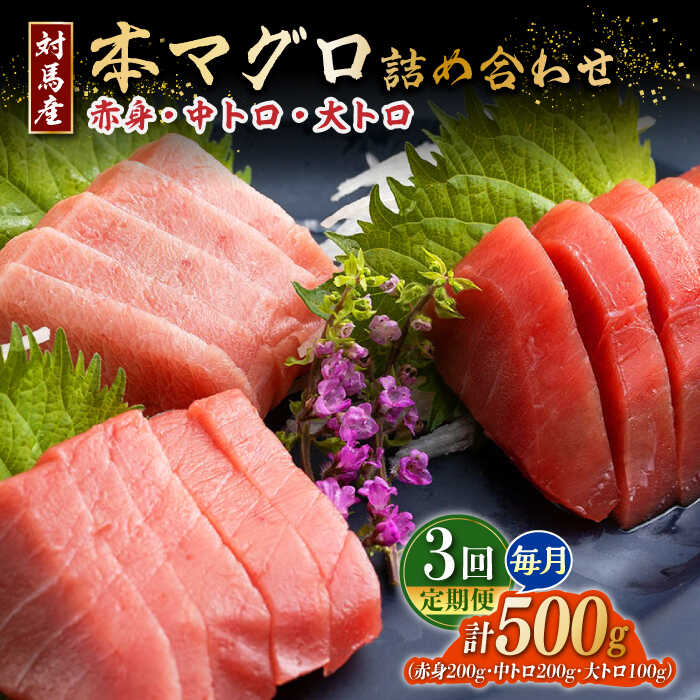 【ふるさと納税】【全3回定期便】対馬産 本マグロ 500g（赤身200g、中トロ200g、大トロ100g）≪対馬市≫【桐谷商店】 トロの華 対馬 新鮮 マグロ 大トロ 鮪 刺身 鮮度抜群[WAQ056]