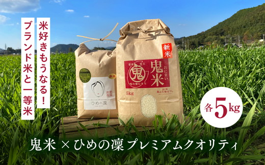 【先行予約】【R7年産】鬼米×ひめの凛（プレミアムクオリティ） 各5kg （計10kg） ｜ お米 お米不足 お米品薄 おいしい お米 事業者支援 送料無料 白米 愛媛県産 鬼北町 ※2025年11月上旬より順次発送予定