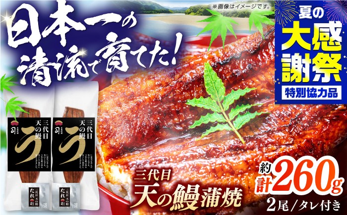 
                  土佐料理司 三代目天の鰻蒲焼2尾セット （合計約260g） 高知市 春野町産 / 着日指定可能 【株式会社土佐料理司】 [ATAD020] うなぎ 鰻 ウナギ  国産 うなぎ蒲焼 鰻蒲焼き 蒲焼き 蒲焼 かば焼き 魚介 たれ タレ うな重 うな丼 ひつまぶし 贈答 贈り物 プレゼント のし対応 冷凍 高知 仁淀川 おすすめ
                