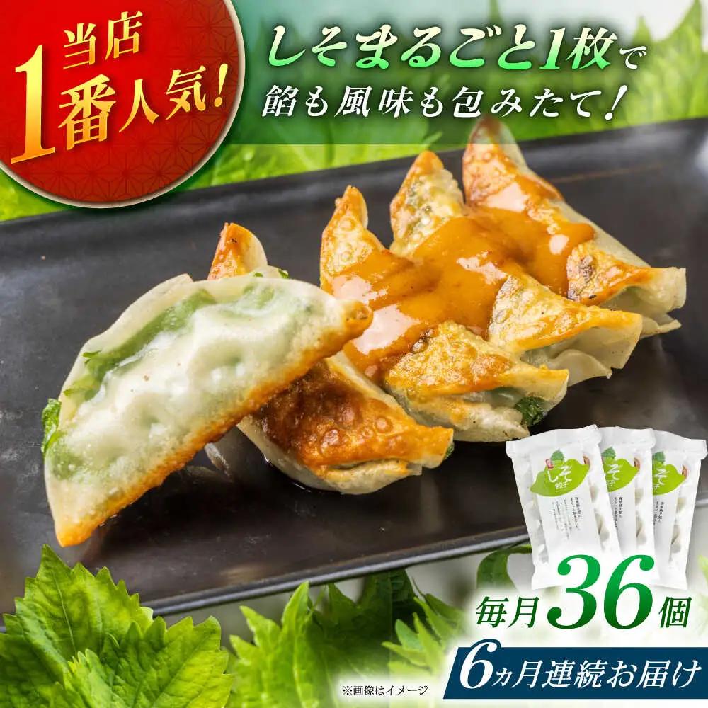 【全6回定期便】【3パック】餃子屋ヒロの 人気のしそ餃子 ぎょうざ[BDAS011]