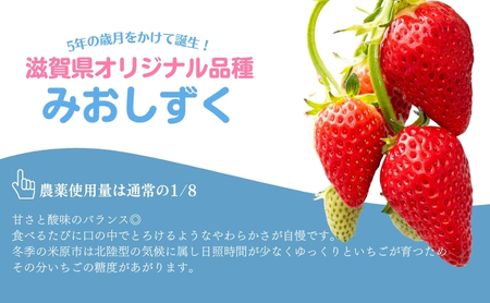 【本州限定】滋賀県オリジナルいちご「みおしずく」