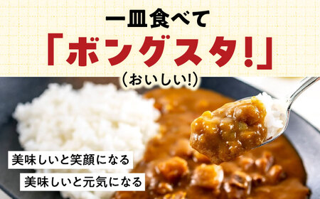 レトルトカレー「ボングスタ！」１０個詰め合わせ