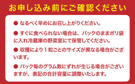 【先行予約 1月中旬以降順次発送】【佐賀のブランドいちご】いちごさん 約1kg（約250g×4p）/中村青果店[UDK010]