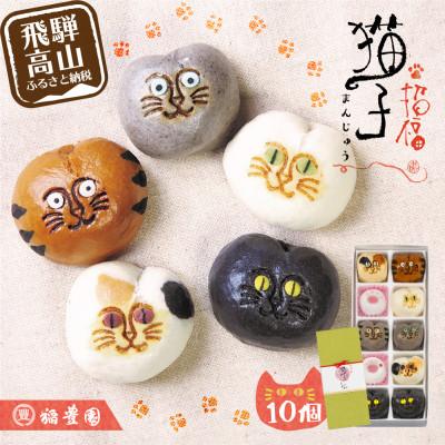 ふるさと納税 高山市 猫子づくし　TR4190