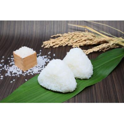 ふるさと納税 養父市 【令和7年産】 寺田さん家の八鹿豚米 コシヒカリ 玄米 10kg |  | 01