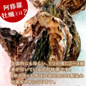 【予約：2024年10月中旬から順次発送】サロマ湖産 海のミルク 阿修羅牡蠣 5kg ( 魚介類 海鮮 魚介 牡蠣 かき カキ サロマ湖 期間限定 国産 )【031-0006-2024】