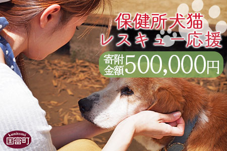 ＜保健所犬猫レスキュー【返礼品なしのご寄附】＞寄付金額500,000円※お礼状をお送りいたします。【 犬 猫 動物 ペット 寄附 保護 いのちのはうす保護家 】