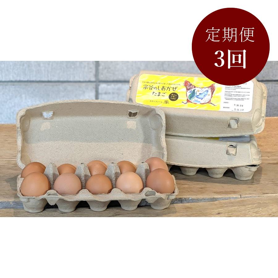 ＜カヤニファーム＞宗谷のしおかぜたまご10個入×3ケース3回定期便