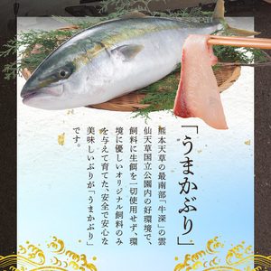 S137-007_【天草育ち/産地直送】活じめ！うまかぶりしゃぶしゃぶ用スライス　300g×２P