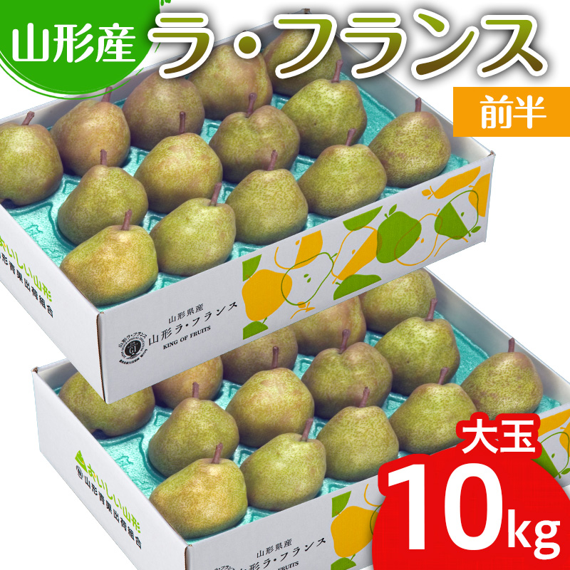 山形のラ・フランス大玉 10kg(20～28玉) 前半【令和8年産先行予約】FS25-747