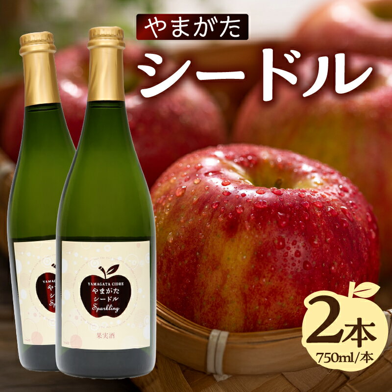 【ふるさと納税】 やまがたシードル750ml×2本 山形県 大江町 ワイン スパークリングワイン 食前酒 紅玉 レビューキャンペーン