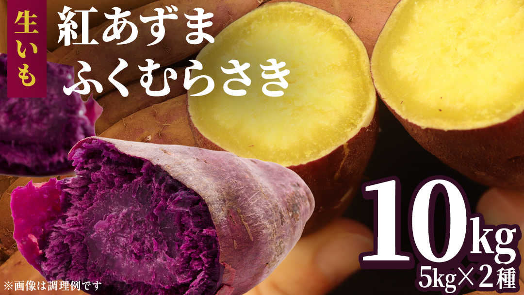 さつまいも 【 紅あずま ・ ふくむらさき 】 5kg ( 箱込 )の 2箱セット サツマイモ さつま芋 芋 いも 野菜 焼き芋 スイーツ おやつ 国産