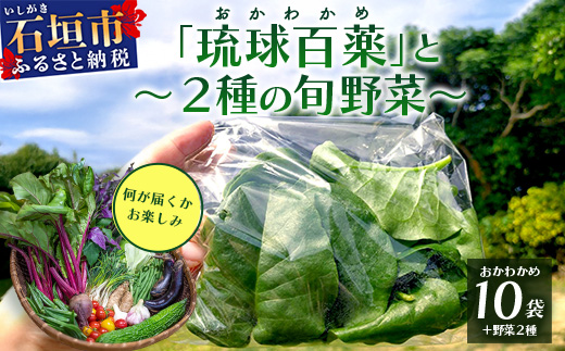 《予約受付》沖縄の健康長寿の秘訣「琉球百薬（おかわかめ）」10袋と旬のおまけ野菜詰め合わせ！農薬を使わない栽培方法を続けるミネイさんの野菜 2025年2月上旬以降～順次発送【 沖縄 石垣島 石垣島産 野菜 セット 詰合せ 農薬不使用 離島のいいもの 沖縄のいいもの石垣島 】OI-24