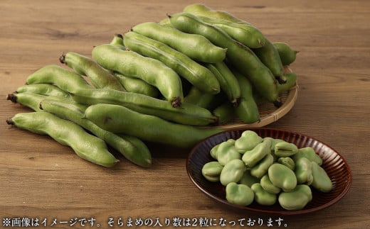 熊本県産 そらまめ 約4kg（2粒） 野菜 豆類 そら豆 【2025年4月上旬-4月下旬迄発送予定】