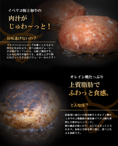 黒毛和牛×イベリコ豚ハンバーグ「デリシオソ ハンバーグ」150g×8個 （冷凍ハンバーグ 湯煎ハンバーグ ハンバーグ牛肉 和牛ハンバーグ 国産牛ハンバーグ)