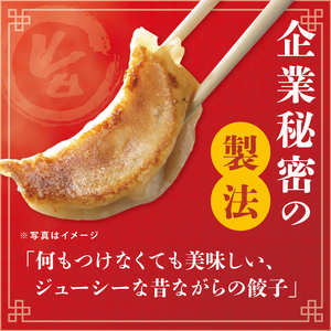 旨味たっぷり！本場プロの中華料理人が作る みとしゃん生餃子 60個（CS-3）