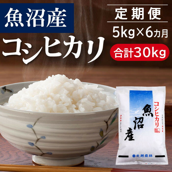 【ふるさと納税】【6カ月定期便】 魚沼産コシヒカリ 5kg×6回（計30kg）新潟県産 ブランド米 精米 白米