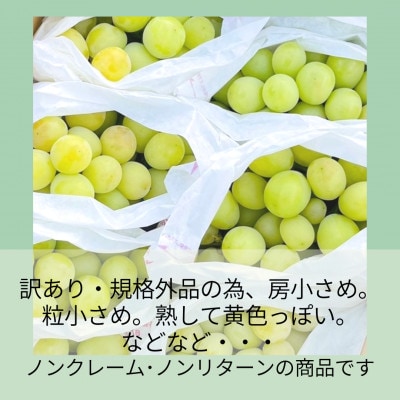 【2026年発送】山梨・萩原フルーツ農園の訳ありシャインマスカット(規格外 約4kg)【配送不可地域：離島】