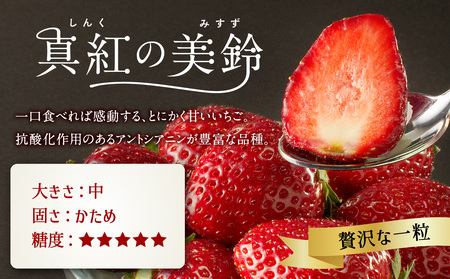 ★予約受付★希少品種！黒色いちご「真紅の美鈴（しんくのみすず）」　1月～4月に順次配送【A063】