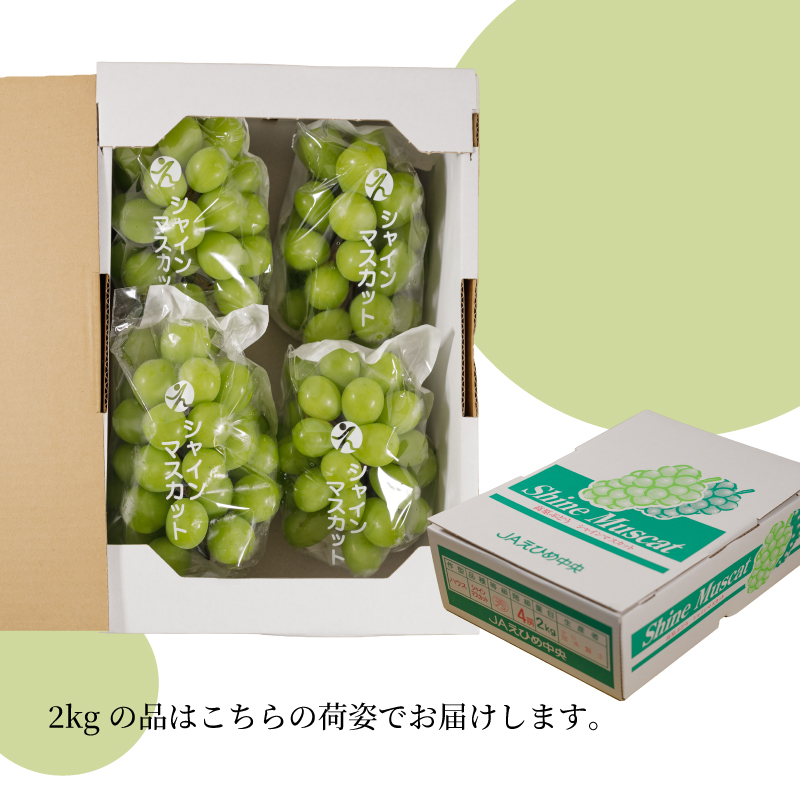 【来季先行予約】【2025年8月下旬～9月中旬頃発送】 シャインマスカット 2kg 秀品 シャインマスカット マスカット ますかっと ぶどう ブドウ 葡萄 種無し 果物 くだもの フルーツ 旬 期間限