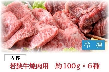 若狭牛焼肉 特上カルビ六種 盛り合わせ 計600g【C-1851】