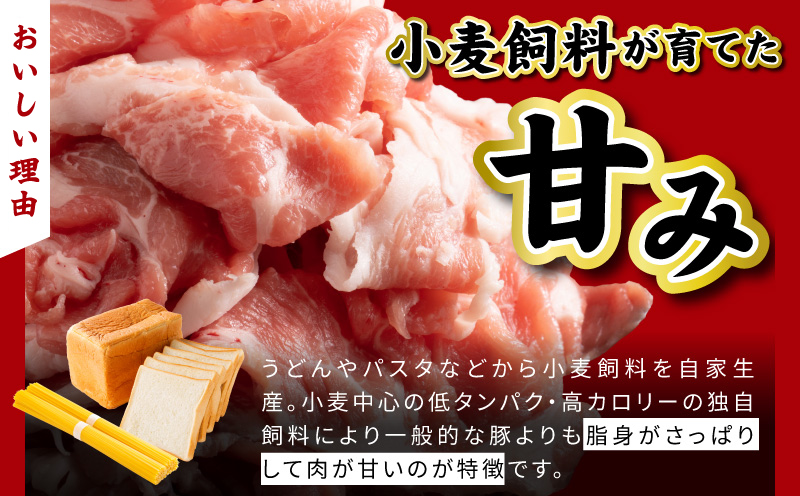 【期間限定】犬鳴豚餃子 75個 ハンバーグ 2個 セット【国産 豚肉 泉佐野ブランド豚 犬鳴ポーク 焼くだけ 人気 総菜 冷凍】 G5372