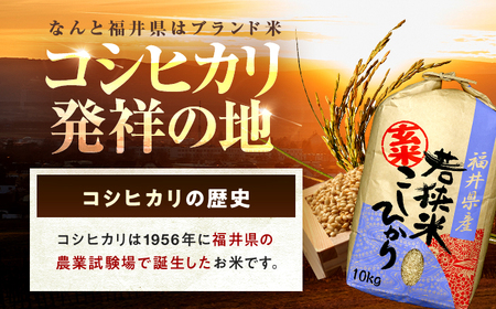 【6回定期便/2ヵ月に1回】 福井県産 コシヒカリ 玄米 10kg 一等級 /甘みと粘りが自慢 王道米 こしひかり 小浜市 / 若狭ふれいあい市場[BFEL016]