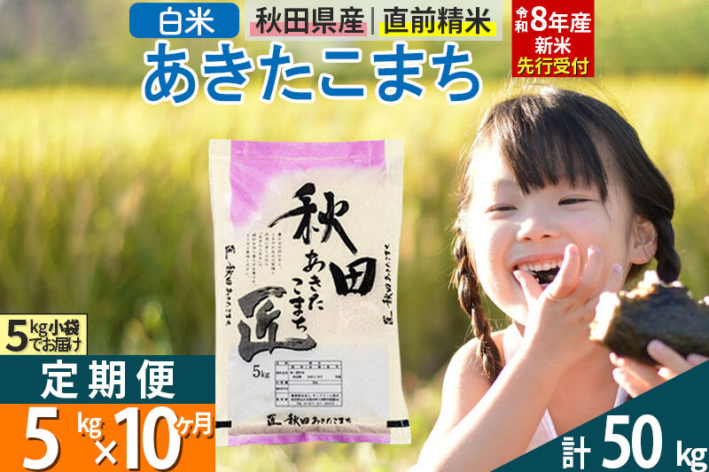 【白米】《定期便10ヶ月》＜令和8年産 新米予約＞ 秋田県産 あきたこまち 5kg (5kg×1袋)×10回 5キロ お米 匠  [サンファーム西木 米 5kg 定期便 お米 定期便 白米 あきたこま