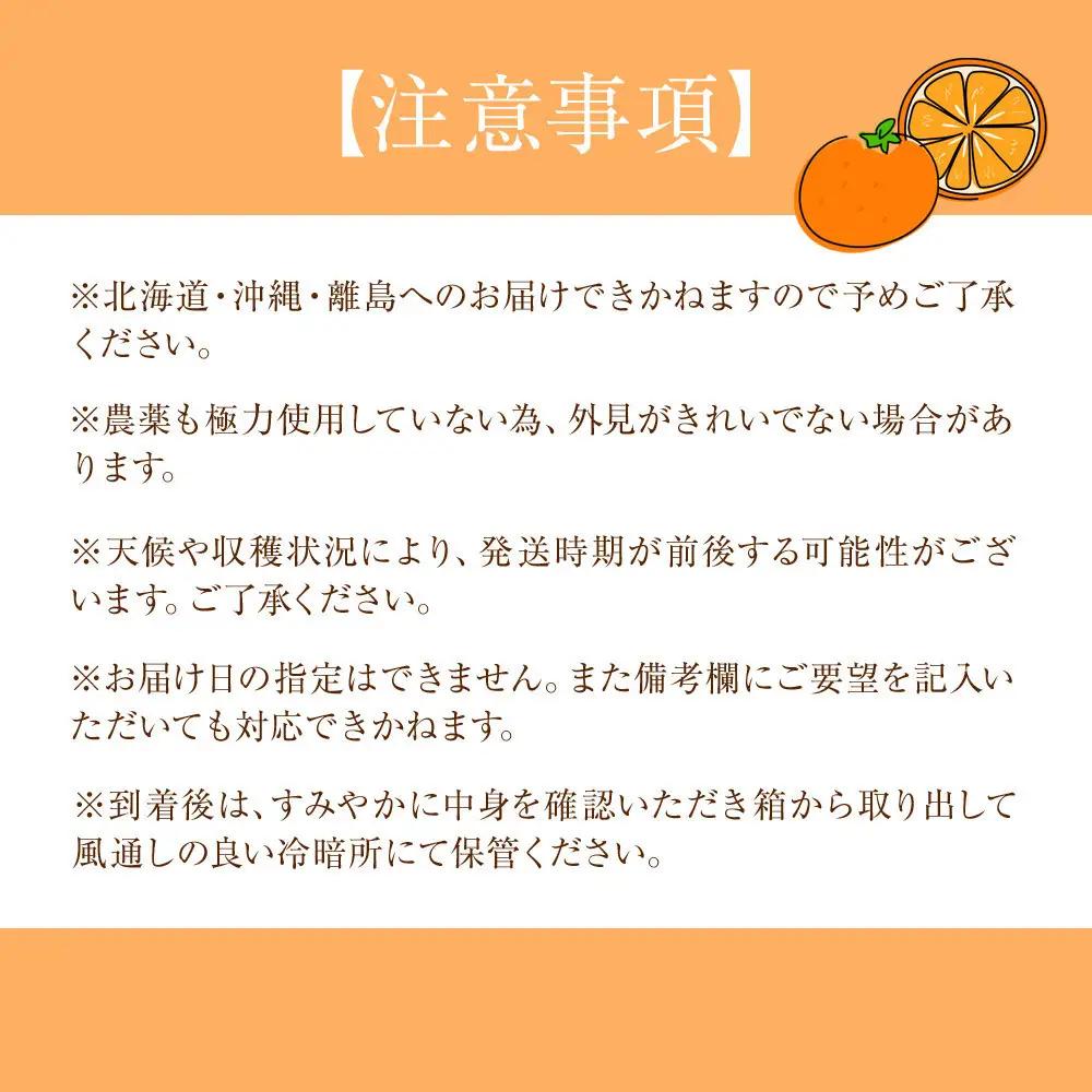 贈答用 森本農園の手選別 はるか 約5kg 和歌山県産 L～2Lサイズ［北海道・沖縄・離島配送不可］［RN154］［2027年3月上旬から順次発送］