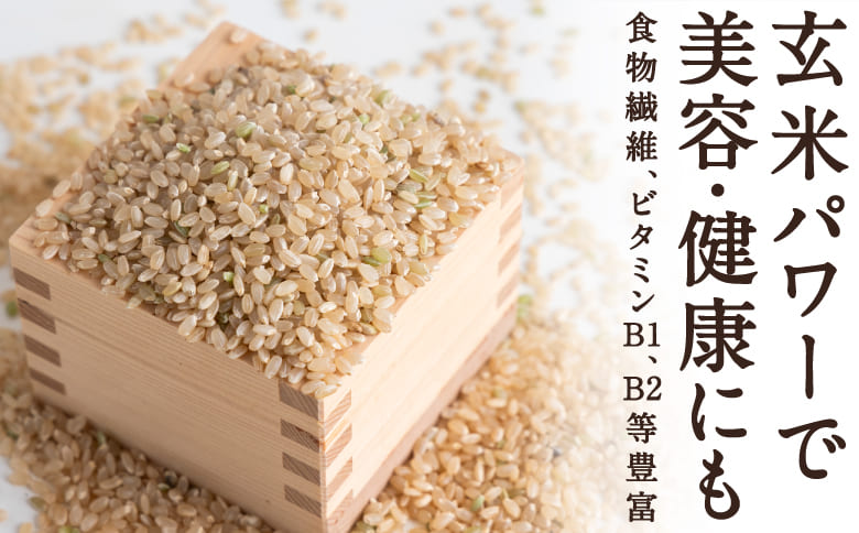 【特Aランク米】五庄屋の地で作ったお米 ひのひかり 玄米 (30kg)【Go庄屋合同会社】ヒノヒカリ こめ コメ ごはん ご飯 福岡県うきは市産 九州産 玄米 ひのひかり 30kg